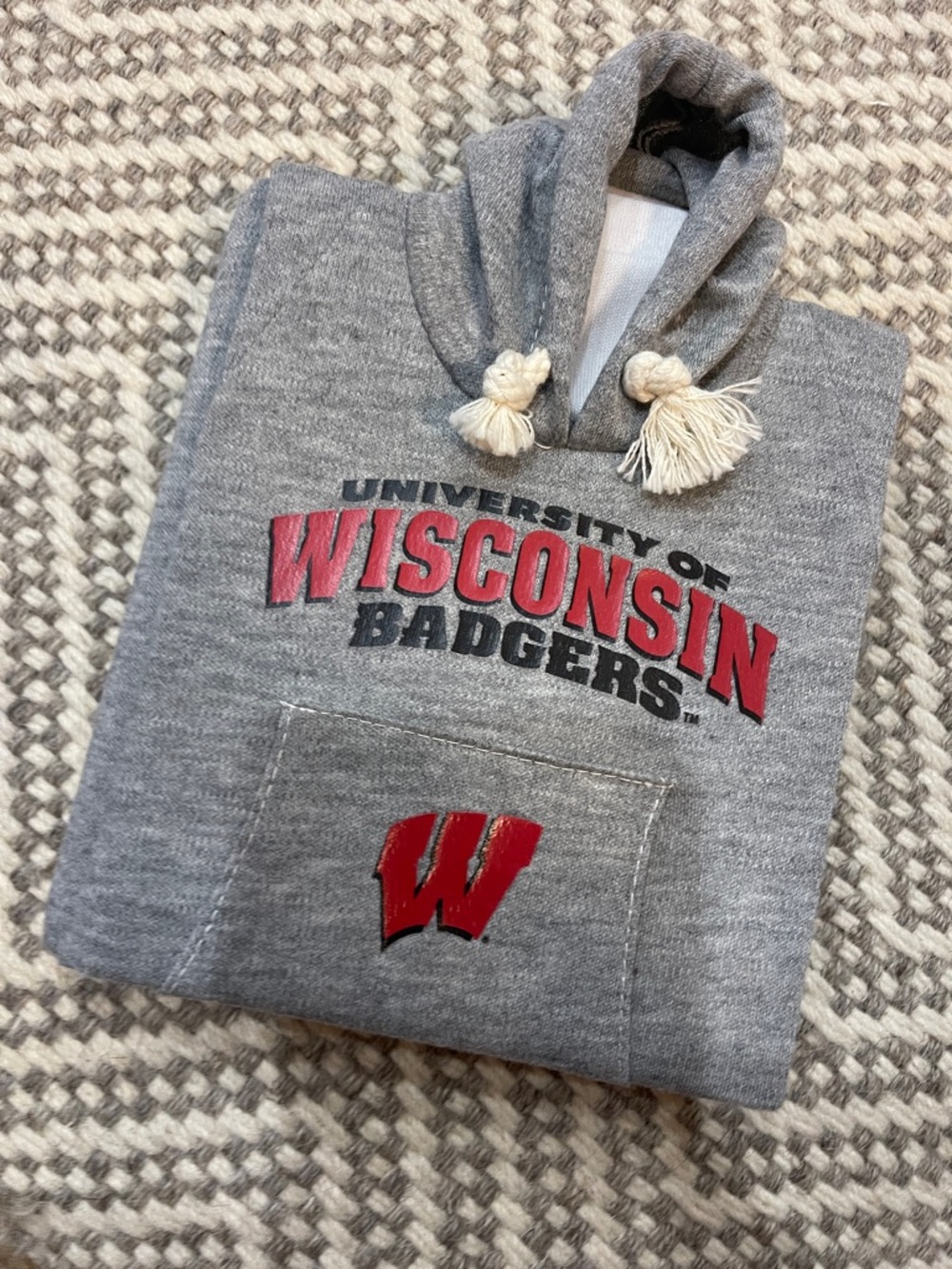 University of Wisconsin Badgers Gray Hoodie with Red Logo Photo Album